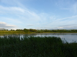 FZ018400 View from bird hive at campsite.jpg